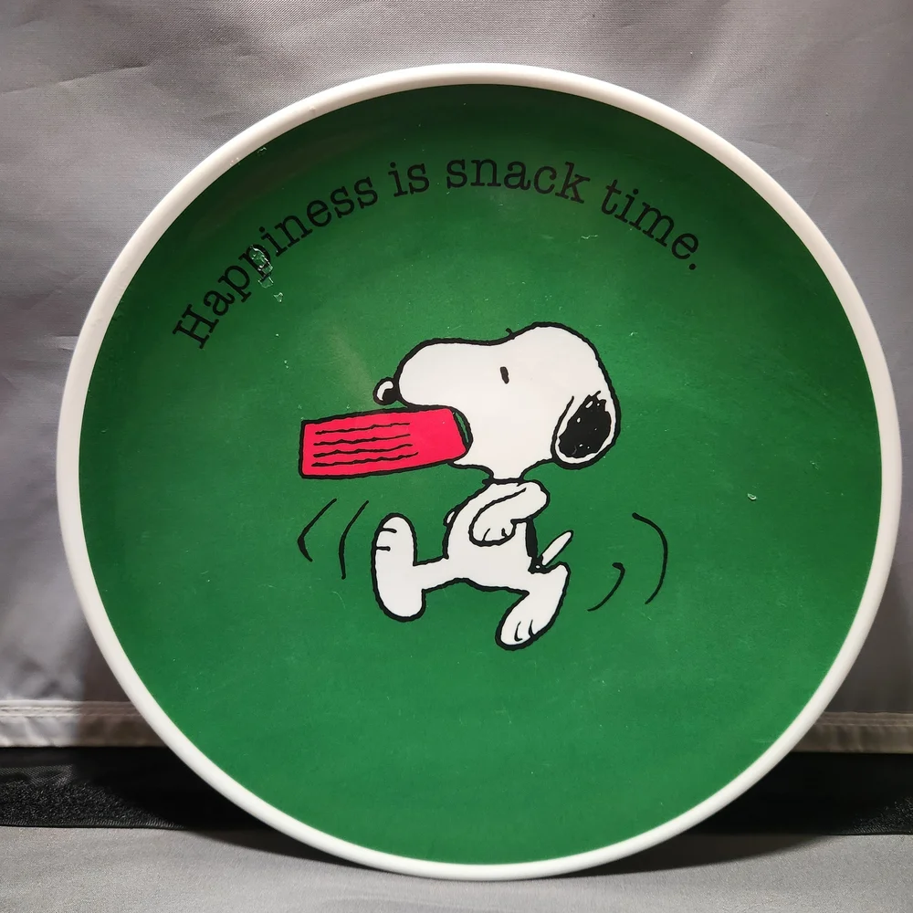 Pottery Barn Kids Snoopy Green and Red Dinnerware Set Of 2